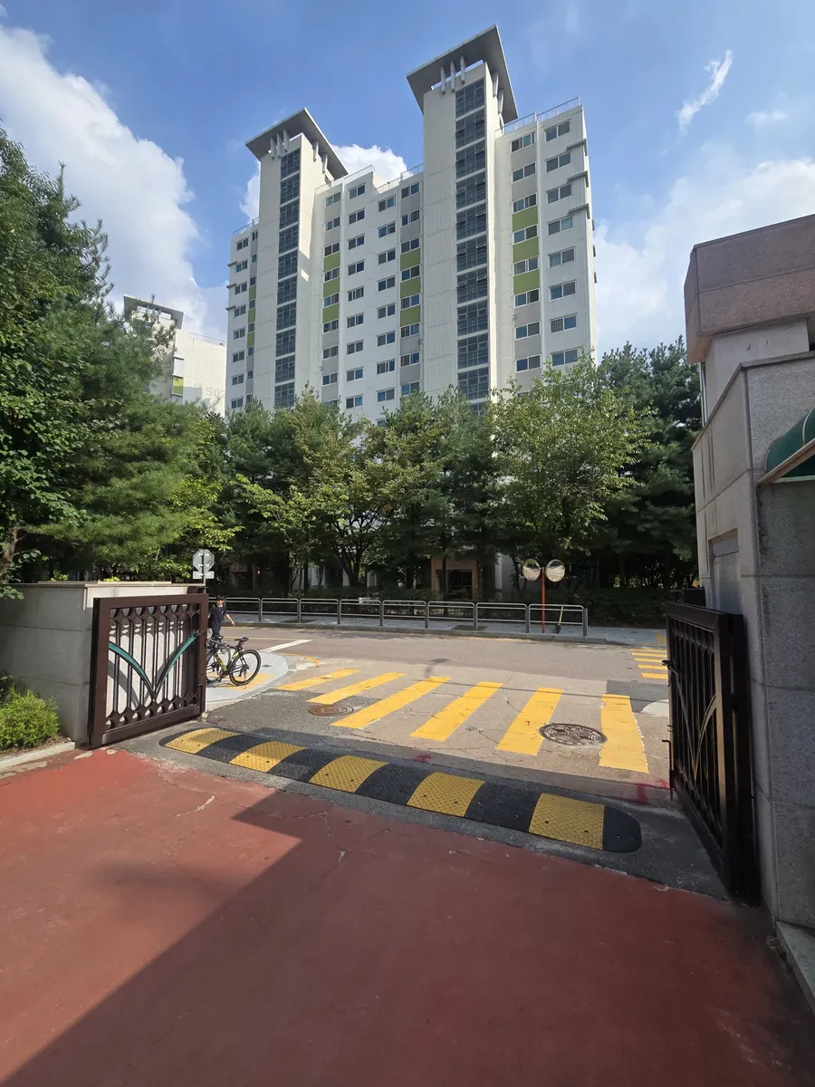 반사경설치 학교 정문 사각지대 해결 반사경 설치